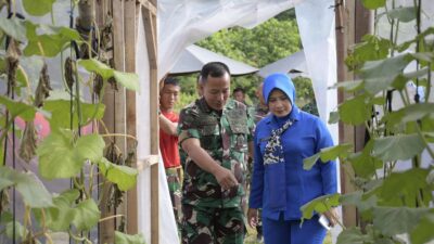 Danbrigif 4 Mar/BS dan Ibu Ketua Cabang 7 PG Kormar Panen Melon Inthanon Dalam Mendukung Ketahanan Pangan Satuan