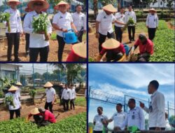 Dukung Program Pembinaan Kemandirian Bagi Warga Binaan, Lapas Gunung Sugih Laksanakan Penanaman Terong dan Sayur Kangkung di Area Lahan Pertanian
