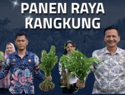 Rutan Mempawah Panen Raya Kangkung Sebagai Bukti Komitmen Dukung Ketahanan Pangan Nasional