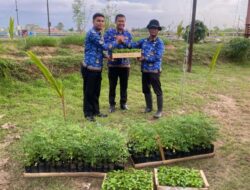 Lapas Brebes Kirim Bibit Cabai dan Daun Kelor ke Lapas Terbuka Kendal untuk Dukung Ketahanan Pangan
