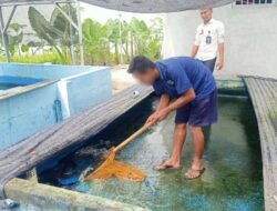 Ilmu Tak Pernah Sia-Sia, Warga Binaan Lapas Metro Berhasil Kuasai Teknik Pembenihan Ikan Lele