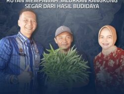 Panen Melimpah, Kepala Rutan Mempawah Salurkan Kangkung Segar Hasil Budidaya