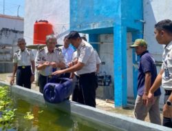 Lapas Brebes Semangat Awali Tahun dan Dukung 15 Program Aksi Kemenimipas dengan Tebar 2.000 Benih Lele