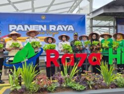 Dirwatkeshab Didampingi Kakanwil Ditjenpas Lampung dan Seluruh Ka UPT Lakukan Panen Raya Secara Serentak di Lapas Rajabasa