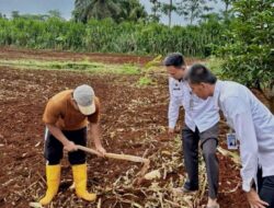 Optimalkan Lahan SAE, Rutan Sukadana Laksanakan Tahap Persiapan Lahan