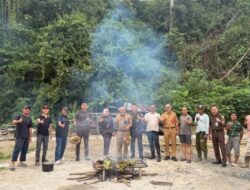 Kolaborasi Apik Petani Mitra Adhyaksa Kejati Lampung Hadirkan Ketahanan Pangan Terbaharukan Bagi Masyarakat Lambar