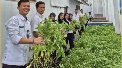 Dukung Panen Raya Serentak, Rutan Krui Laksanakan Panen Kangkung Bersama Warga Binaan