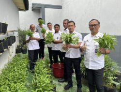 Kalapas Kelas IIB Kota Bakti Berserta Jajaran Laksanakan Panen Perdana Kangkung Dukung Ketahanan Pangan