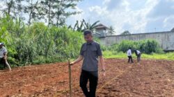 Kolaborasi Petugas dan Warga Binaan, Rutan Sukadana Optimalkan Lahan SAE Lewat Penanaman Bibit Jagung Manis