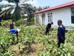 Warga Binaan Lapas Muara Tebo Maksimalkan Lahan SAE Selama Ramadan