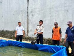 Rutan Sukadana Panen 40 Kg Ikan Lele, Wujud Nyata Pembinaan Kemandirian Warga Binaan