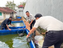 Pada Lahan Terbatas, Tumbuh Kemandirian: Rutan Sukadana Berhasil Raup Puluhan Kilo Hasil Budidaya Ikan Lele