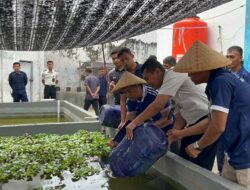 Dukung Program Ketahanan Pangan, Warga Binaan Lapas Brebes Tebar 2.000 Benih Lele