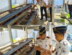 Plh Kakanwil Ditjenpas Lampung Lakukan Panen Telur Ayam dan Tebar Benih Ikan Lele di Lapas Waykanan