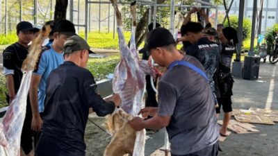 Peringati Idul Adha 1447 H, Lapas Karanganyar Nusakambangan Gelar Penyembelihan Hewan Kurban