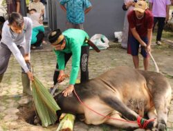 Lapas Perempuan Bandar Lampung Sembelih 3 Ekor Sapi dan 4 Ekor Kambing pada Hari Raya Idul Adha 1447 H