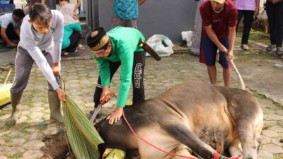 Lapas Perempuan Bandar Lampung Sembelih 3 Ekor Sapi dan 4 Ekor Kambing pada Hari Raya Idul Adha 1447 H