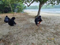 Semangat Gotong Royong, Kalapas Bersama Pegawai dan PPNPN Lapas Karanganyar Bersihkan Pantai dan Benahi Fasilitas Umum