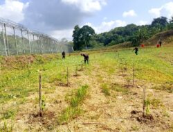 Pastikan Tanaman Jeruk Tetap Produktif, Jajaran Lapas Karanganyar Intensifkan Penyiraman di Musim Kemarau