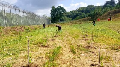 Pastikan Tanaman Jeruk Tetap Produktif, Jajaran Lapas Karanganyar Intensifkan Penyiraman di Musim Kemarau