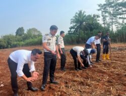Implementasikan Program Akselerasi Menteri Imigrasi dan Pemasyarakatan, Rutan Sukadana Gelar Penanaman Bibit Jagung Manis di Lahan SAE