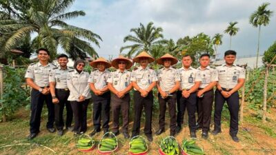 Dukung Ketahanan Pangan, Lapas Muara Tebo Kembali Panen Mentimun Hasil Pembinaan Kemandirian