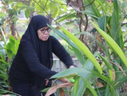 Meriahkan HUT RI ke-81, Lapas Perempuan Bandar Lampung Ciptakan Lingkungan Bersih dan Nyaman