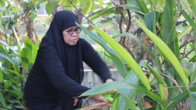 Meriahkan HUT RI ke-81, Lapas Perempuan Bandar Lampung Ciptakan Lingkungan Bersih dan Nyaman
