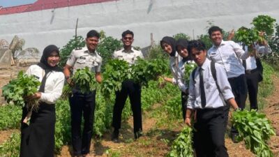 Produktivitas Warga Binaan, Lapas Muara Tebo Panen 70 Ikat Bayam Guna Mendukung Ketahanan Pangan