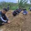 Pemanfaatan Lahan Idle, Kalapas Karanganyar Bersama Jajaran Giatja dan Peserta Magang Tanam Terong