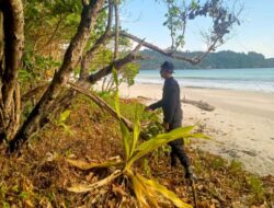 Kesiapsiagaan Hadapi Potensi Kebakaran Lapas Karanganyar meningkatkan Patroli Hutan Sekitar Lapas Karanganyar