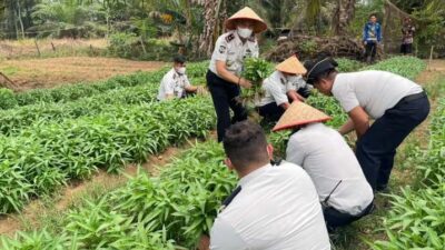 Bukti Nyata Produktivitas Panen Kangkung Hasil Pembinaan Kemandirian Warga Binaan Lapas Muara Tebo