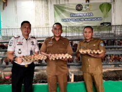 Dukung 15 Program Aksi Kemenimipas Ketahanan Pangan, Lapas Kelas IIB Martapura Gelar Panen Raya dan Tebar Bibit Ikan