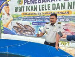 Panen Raya Sektor Pertanian, Rutan Bandar Lampung Optimalkan Hasil Budidaya untuk Ketahanan Pangan