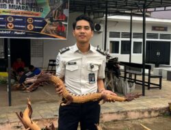 Dari Serbuk Menjadi Karya, Kreativitas Warga Binaan Lapas Muara Tebo Menghidupkan Limbah Bernilai Seni